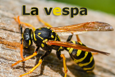 la vespa